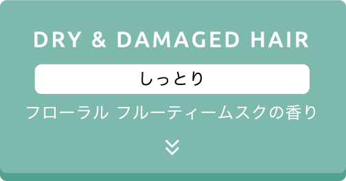 DRY&DAMAGED HAIR しっとり